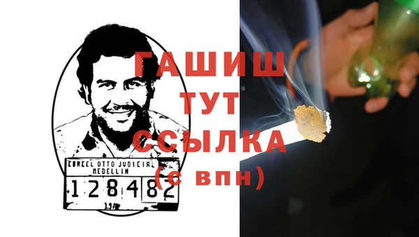 крисы Каменка