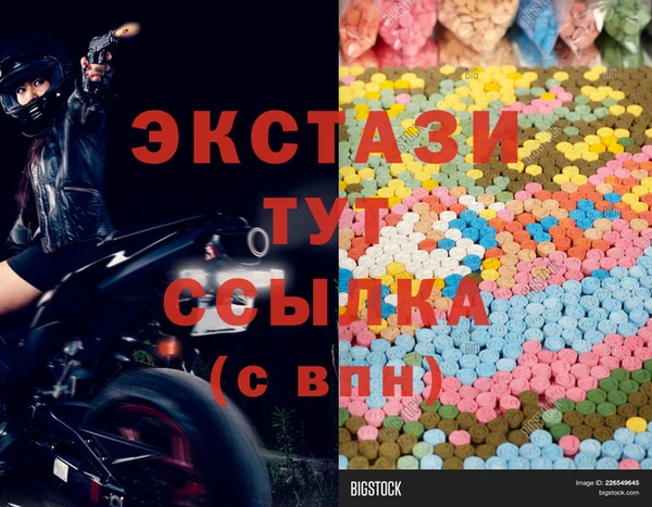 крисы Каменка
