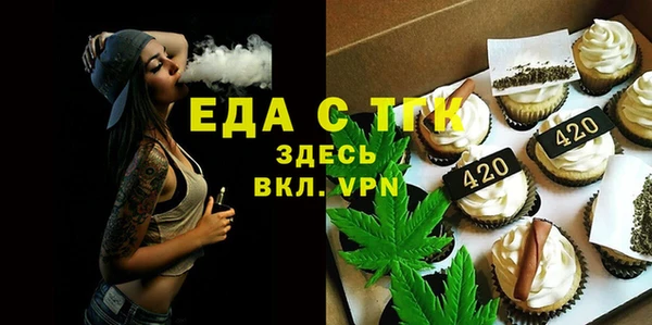 крисы Каменка